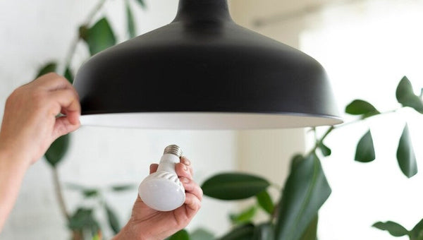 Persona cambiando una bombilla por otra más eficiente