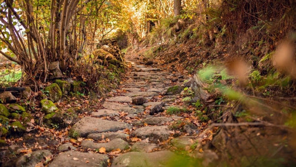 ruta plata autocaravana