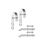 Soporte de fijación