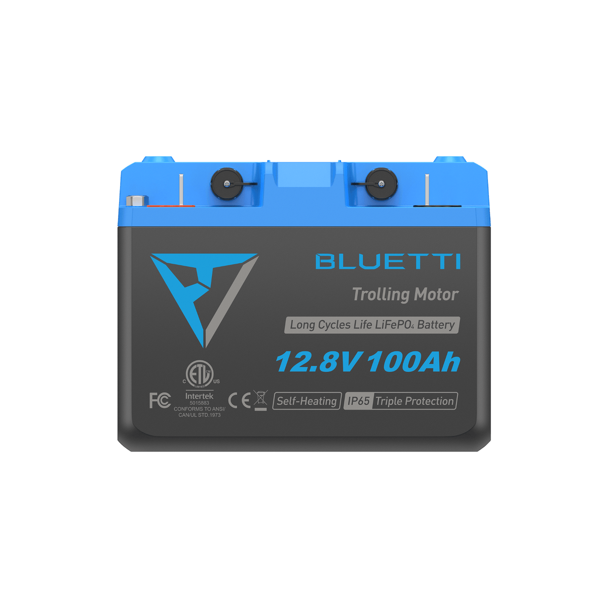 B1210 Batería LiFePO₄ para motor fueraborda | 12,8 V, 100 Ah