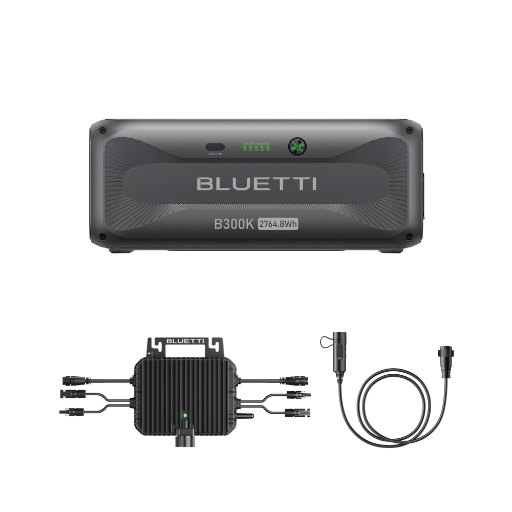 D100P+B300K+Cable de conexión de batería